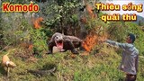 Săn Bắt Ẩm Thực Vùng Cao Dùng Lửa Đốt Sống Quái Thú | Pitbull Truy Sát Rồng Đất Komodo