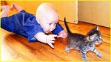 Best video of Cute Babies and Pets #5 - Funny Baby and Pet