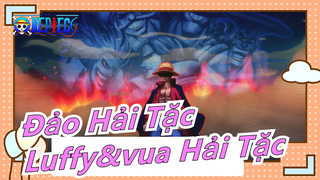 Đảo hải tặc|"Xin lỗi chứ, Luffy là Vua Hải Tặc ư?"