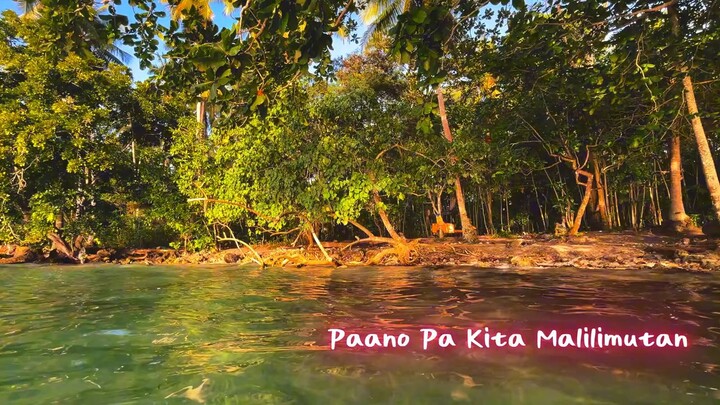 AI SONG ( PAANO PA KITA MALILIMUTAN )