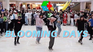 【EXO CBX】花曜日Blooming Days 随唱谁跳北京第一次KPOP随机舞蹈