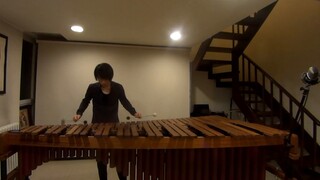 Croatian Rhapsody [Marimba Solo]