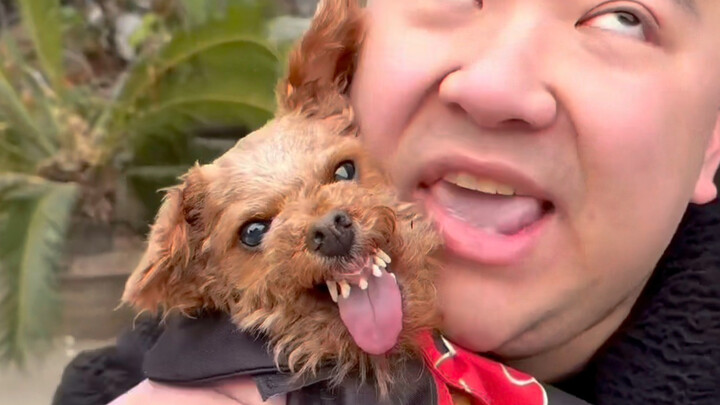 Giáo viên nước ngoài hợp tác với Tân Thủ rồi!