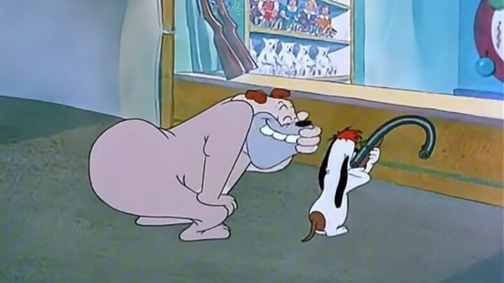 【Ding Dong Ding___】The video is loading, check it out for the surprise!