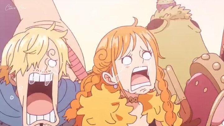 Salah satu momen mengharukan di One Piece