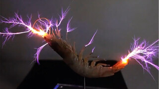 الجمبري والبرق