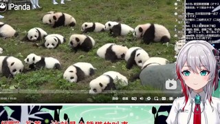 Cô gái Nhật Bản bẩm sinh không chịu nổi vẻ dễ thương của gấu trúc khổng lồ