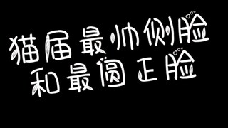 بخلاف "الأسود"، أخيرًا عثرتُ فيك على اثنين آخرين من "الأكثر"!