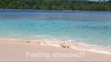 Feeling stressed?
