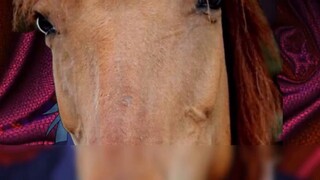 جو جو لكن مع تأثير عشوائي