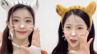 KEP1ER近期整活小视频合集，已变身tiktok女团～
