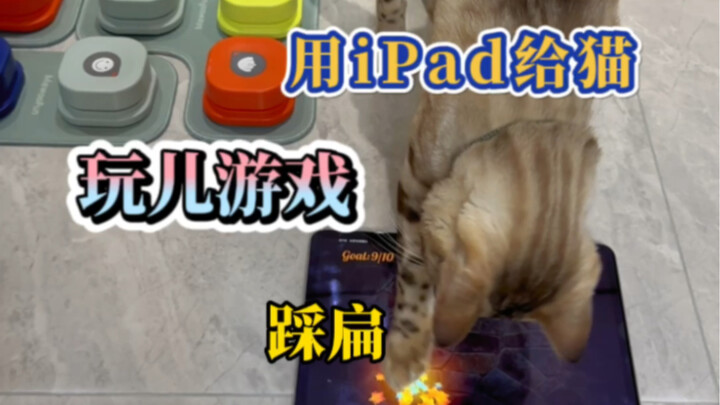 Eight has not only learned to communicate now, but also learned to subtly tease me...