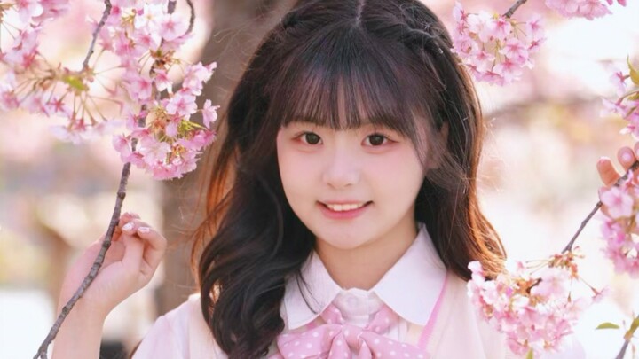 66 🌸「นามะริซากุระ」