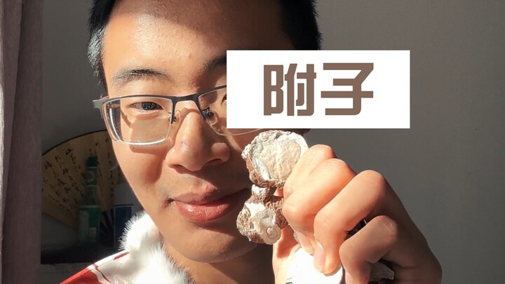 A Thorough Study of Fuzi in the Treatise on Cold Damage Diseases! An Historical and Dialectical Anal