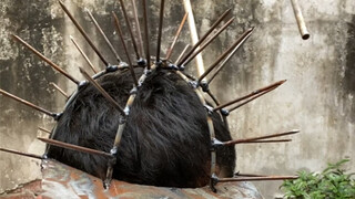 Topi anti-remuk! Sekarang tidak lagi takut diremuk saat naik bus dan kereta bawah tanah.