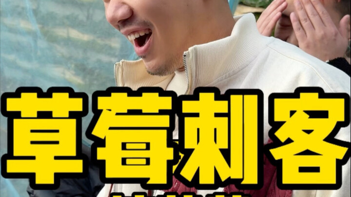 Dâu tây lại chín rồi!