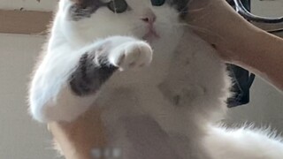 ลูกที่มีแม่ก็เหมือนสมบัติ