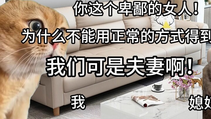 【Meme mèo】Tối qua mình làm gì thế này! (Ôm đầu)