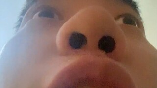 Bodoh! Kamu memang bodoh!