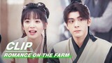 Lian Maner Proposed to Let the Brothers do Business | Romance on the Farm EP15 | 田耕纪 | iQIYI