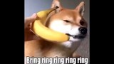 banana phone