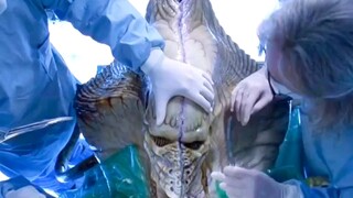 电影推荐 "科幻 《独立日