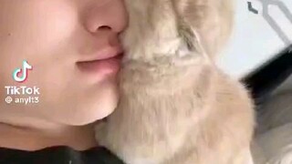 v đề tôi muốn
