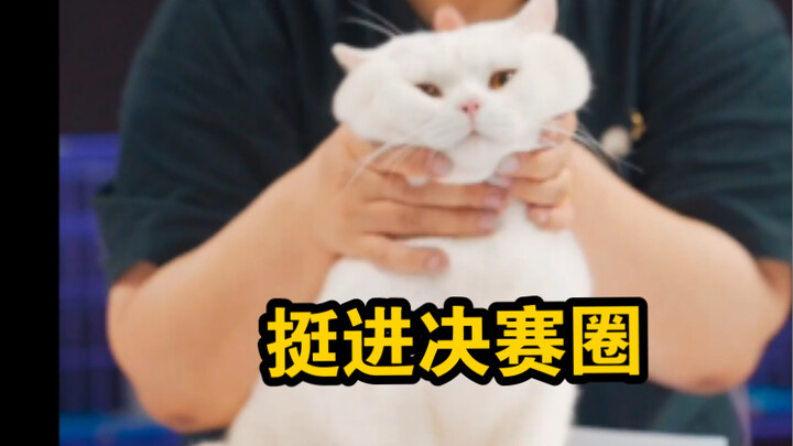 Định đi giải nguy mà không ngờ lại tiến thẳng vào chung kết.