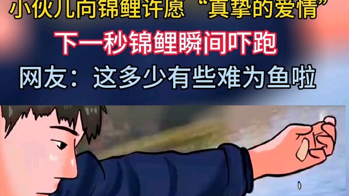 طلب الشاب من سمكة الكوبي أمنية "الحب الصادق"، فهربت السمكة على الفور، وهذا بالتأكيد أمر صعب على السم