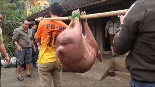 M.ổ Lợn Ăn Tết - Phong Tục Cuối Năm Người Thái Tây Bắc | Butchering a pig for New Year feast