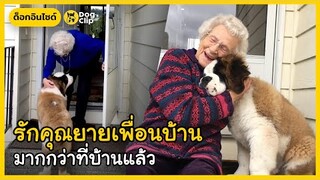 "โบรดี้" น้องหมาขนฟูเพื่อนซี้คุณยายข้างบ้าน | Dog's Clip