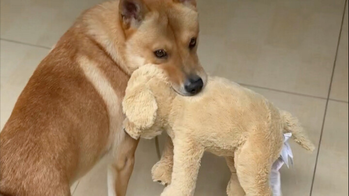 Kebahagiaan itu sesederhana ini.