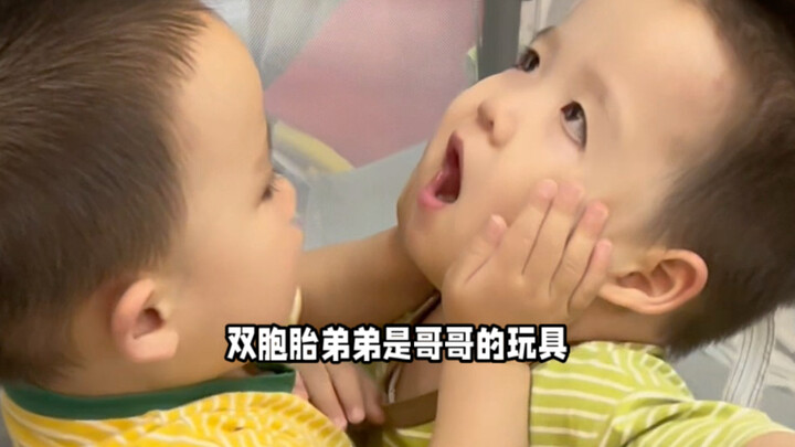 ดูเหมือนว่าจะให้พี่ชายมีน้องแฝด ที่จริงแล้วคือให้เขามีของเล่นตัวเป็นๆ แทน