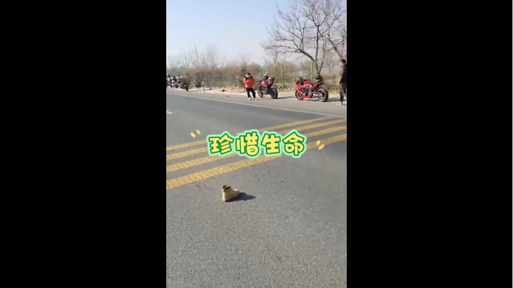 Another motorcycle fender gone wrong—this time, it’s the fender again!