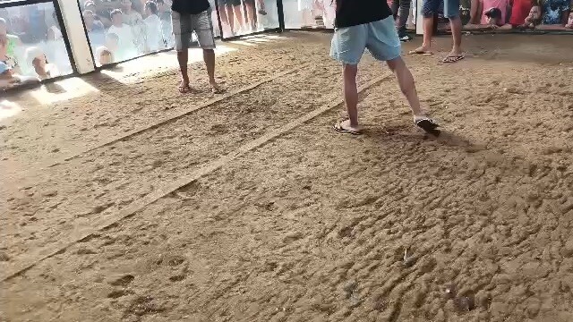 Gallera De Mandaon(2 hits ulutan) 2nd Fight LOSS