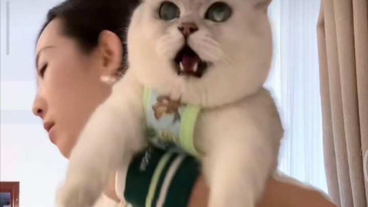 ชอบเอาเปรียบคนอ่อนแอแต่เกรงกลัวคนแข็งแกร่งงั้นเหรอ? ไม่มีอะไรแบบนั้นหรอก ฟินเอ๋อร์แค่ไม่ชอบที่คุณแม่