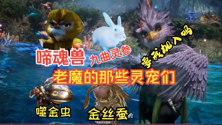可爱的小动物 我韩某必须收养