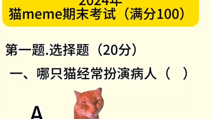 猫meme期末考试