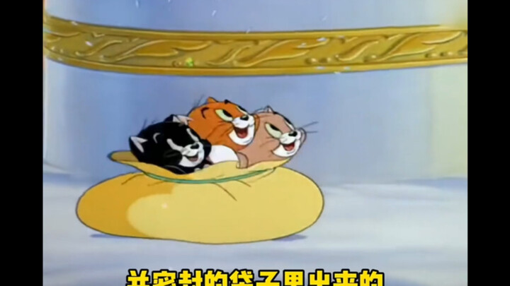 เพื่อนๆ เคยดู Tom and Jerry ภาคนี้กันบ้างไหม? ไม่ต้องรักฉันก็ได้ แต่อย่าทำให้ฉันเจ็บนะ!
