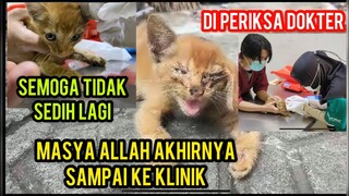 Anak Kucing Menangis kakinya Pengkor Part 2 | Akhirnya Sampai Ke Dokter Hewan Ini Kondisinya.!