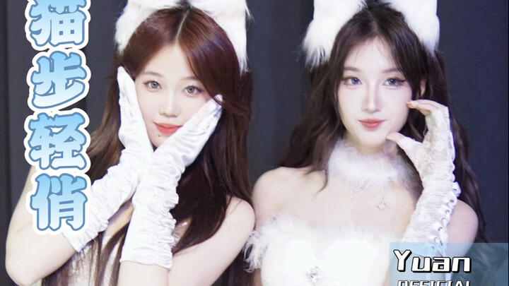 قطة صغيرة بيضاء ناعمة ورقيقة | منصة خارقة بخطوات قطة رشيقة من AOA