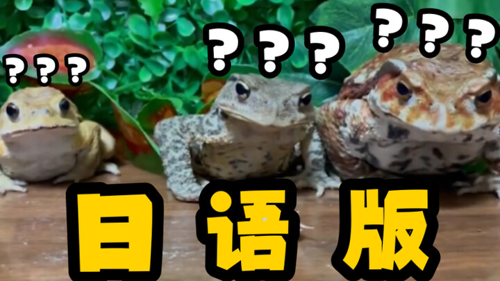 Jumlah katak kecil yang aneh telah meningkat