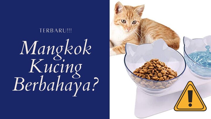 Ngasih Makan Kucing Pakai Mangkok Ketinggalan Zaman? Loh! Kok bisa?