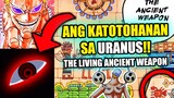 HAWAK BA TALAGA NI IMU ANG URANUS? | One Piece Discussion (Theory)
