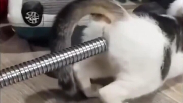 Someone, hurry up and find a partner for Hakimi!