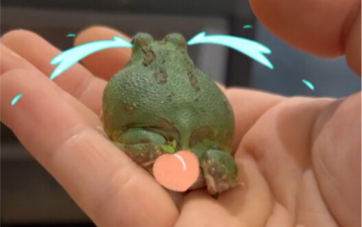 Don’t take care of it right by the front door anymore~