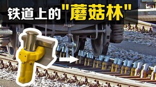 "ลูกระนาด" คืออะไร? "เห็ดเหล็ก" ที่ผุดขึ้นตามทางรถไฟแถวนั้นมีหน้าที่อะไร?