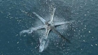 Quรขn ฤแปi nรฉm bom quรกi vแบญt biแปn khแปng lแป hร ng vแบกn tแบฅn, khรดng ngแป trong bแปฅng nรณ lแบกi chแปฉa cแบฃ triแปu quแบฃ