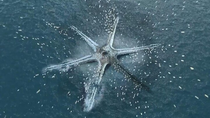 Militer membom monster laut seberat puluhan ribu ton, namun tak disangka ada jutaan telur aneh di da