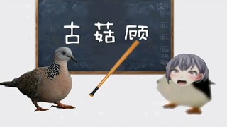 😡古菇顾！🐧咕咕嘎嘎！😡古菇顾！🐧咕咕嘎嘎！😡古菇顾！🐧咕咕嘎嘎！